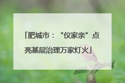 肥城市：“仪家亲”点亮基层治理万家灯火