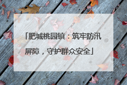 肥城桃园镇：筑牢防汛屏障，守护群众安全