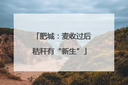 肥城：麦收过后秸秆有“新生”