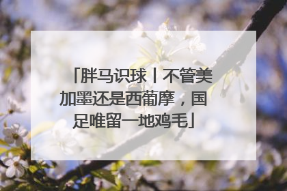 胖马识球丨不管美加墨还是西葡摩，国足唯留一地鸡毛