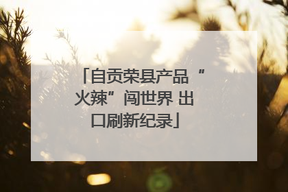 自贡荣县产品“火辣”闯世界 出口刷新纪录