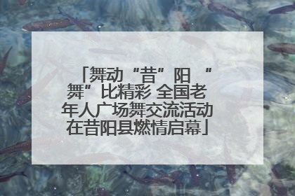 舞动“昔”阳 “舞”比精彩 全国老年人广场舞交流活动在昔阳县燃情启幕