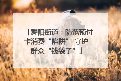 舞阳街道：防范预付卡消费“陷阱” 守护群众“钱袋子”