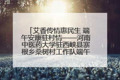 艾香传情惠民生 端午安康驻村情——河南中医药大学驻西峡县寨根乡桑树村工作队端午中医惠民记