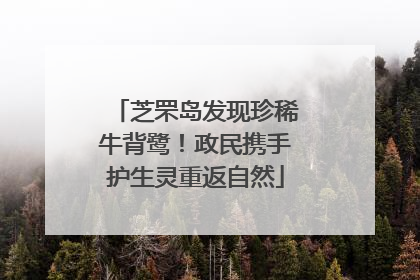 芝罘岛发现珍稀牛背鹭！政民携手护生灵重返自然