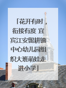 花开有时，衔接有度 宜宾江安留耕镇中心幼儿园组织大班萌娃走进小学