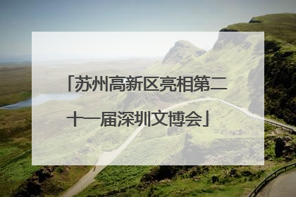 苏州高新区亮相第二十一届深圳文博会