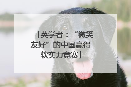 英学者：“微笑友好”的中国赢得软实力竞赛