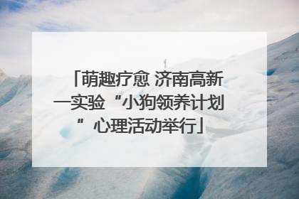 萌趣疗愈 济南高新一实验“小狗领养计划”心理活动举行