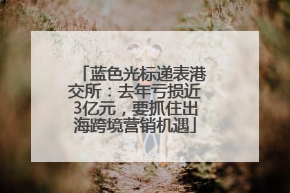 蓝色光标递表港交所：去年亏损近3亿元，要抓住出海跨境营销机遇
