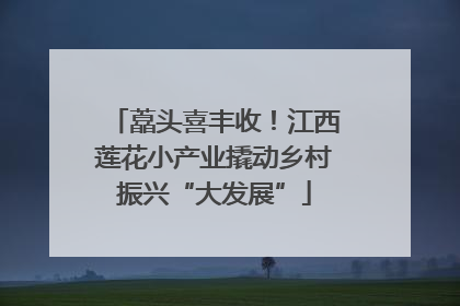 藠头喜丰收！江西莲花小产业撬动乡村振兴“大发展”