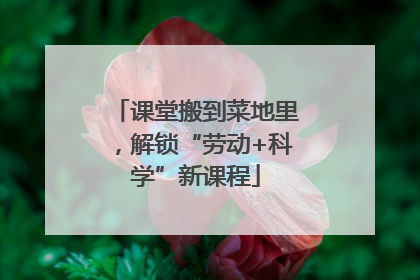 课堂搬到菜地里，解锁“劳动+科学”新课程