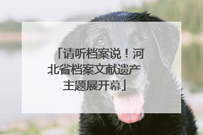 请听档案说！河北省档案文献遗产主题展开幕