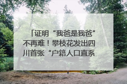 证明“我爸是我爸”不再难！攀枝花发出四川首张“户籍人口直系亲属关系谱”