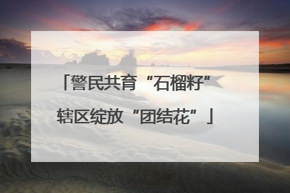 警民共育“石榴籽” 辖区绽放“团结花”