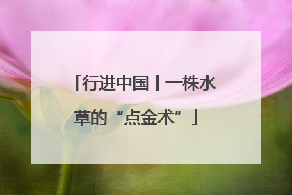 行进中国丨一株水草的“点金术”