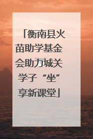 衡南县火苗助学基金会助力城关学子“坐”享新课堂