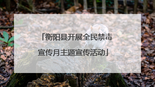 衡阳县开展全民禁毒宣传月主题宣传活动