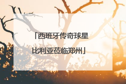 西班牙传奇球星 比利亚莅临郑州