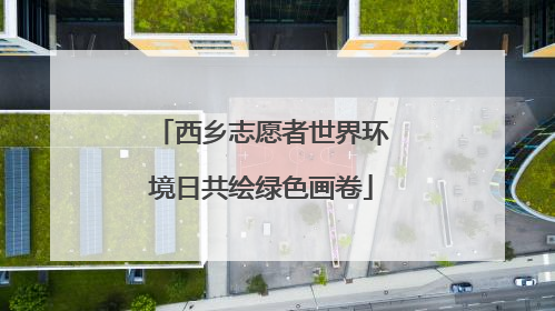 西乡志愿者世界环境日共绘绿色画卷