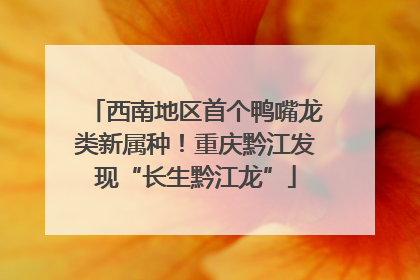 西南地区首个鸭嘴龙类新属种！重庆黔江发现“长生黔江龙”