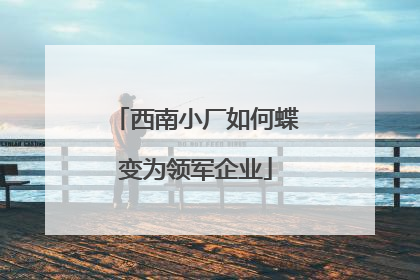 西南小厂如何蝶变为领军企业