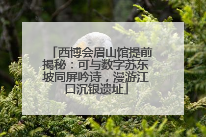 西博会眉山馆提前揭秘：可与数字苏东坡同屏吟诗，漫游江口沉银遗址