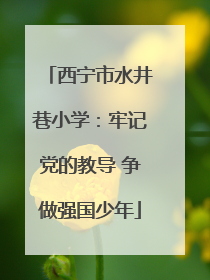 西宁市水井巷小学：牢记党的教导 争做强国少年