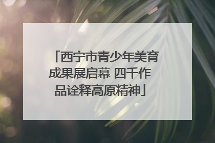 西宁市青少年美育成果展启幕 四千作品诠释高原精神