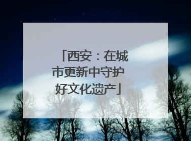 西安：在城市更新中守护好文化遗产