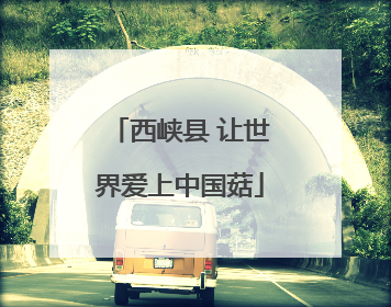 西峡县 让世界爱上中国菇