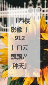 西楼影像「912」白云飘飘芒种天