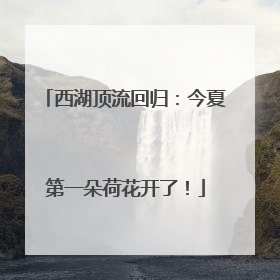 西湖顶流回归：今夏第一朵荷花开了！