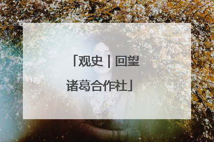 观史｜回望诸葛合作社