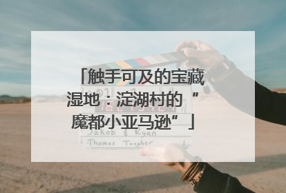 触手可及的宝藏湿地：淀湖村的“魔都小亚马逊”