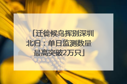 迁徙候鸟挥别深圳北归：单日监测数量最高突破2万只