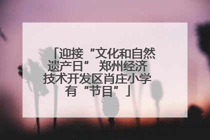 迎接“文化和自然遗产日” 郑州经济技术开发区肖庄小学有“节目”
