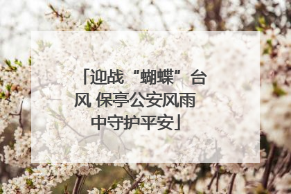 迎战“蝴蝶”台风 保亭公安风雨中守护平安