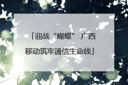 迎战“蝴蝶” 广西移动筑牢通信生命线