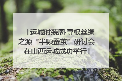 运城时装周·寻根丝绸之源“半颗蚕茧”研讨会在山西运城成功举行
