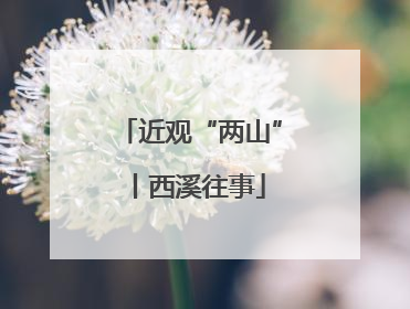 近观“两山”丨西溪往事