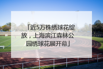 近5万株绣球花绽放，上海滨江森林公园绣球花展开幕