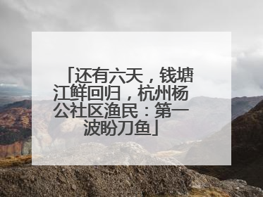 还有六天，钱塘江鲜回归，杭州杨公社区渔民：第一波盼刀鱼