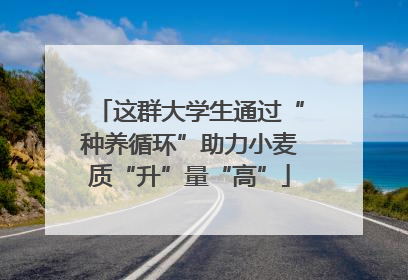 这群大学生通过“种养循环”助力小麦质“升”量“高”