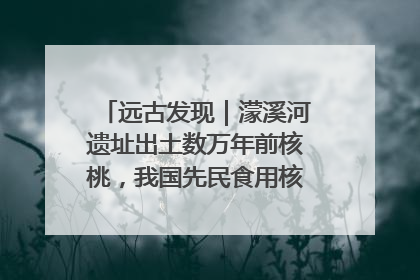 远古发现｜濛溪河遗址出土数万年前核桃，我国先民食用核桃历史大幅提前