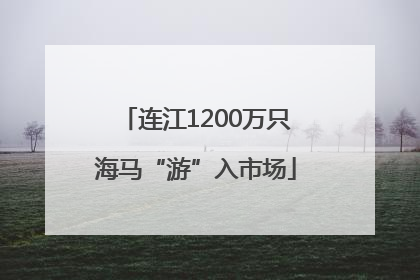 连江1200万只海马“游”入市场