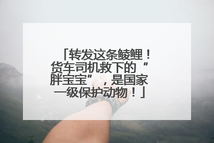 转发这条鲮鲤！货车司机救下的“胖宝宝”，是国家一级保护动物！