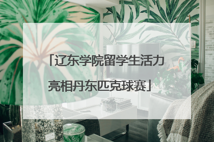 辽东学院留学生活力亮相丹东匹克球赛
