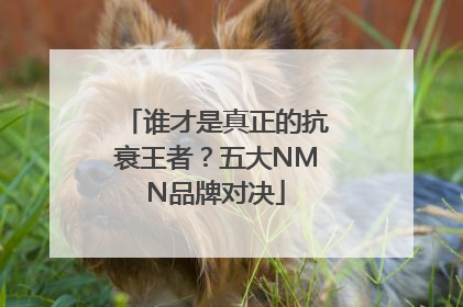 谁才是真正的抗衰王者？五大NMN品牌对决