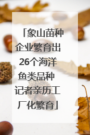 象山苗种企业繁育出26个海洋鱼类品种 记者亲历工厂化繁育
